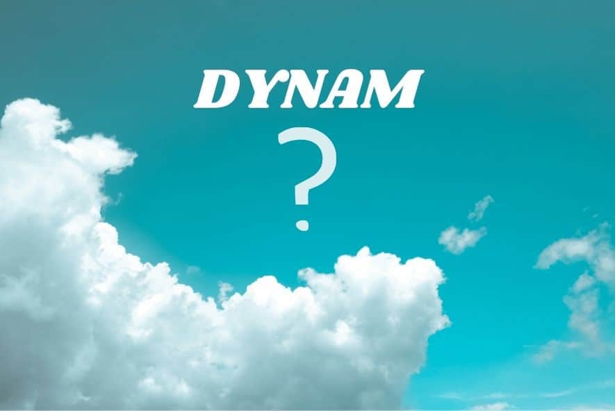 Are Dynam RC Planes Any Good?